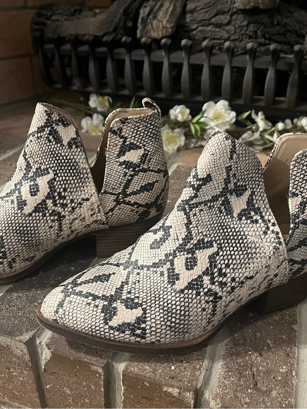 Women's Snake-Print Ankle Booties in Cream and Black